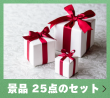 景品25点のセット