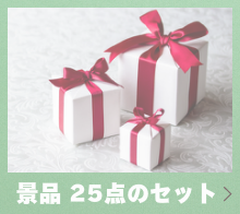 景品25点のセット